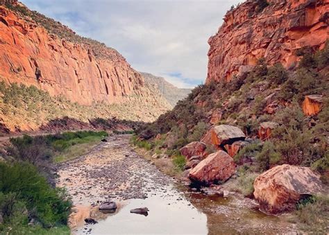 The disappearing Dolores River - Durango Telegraph