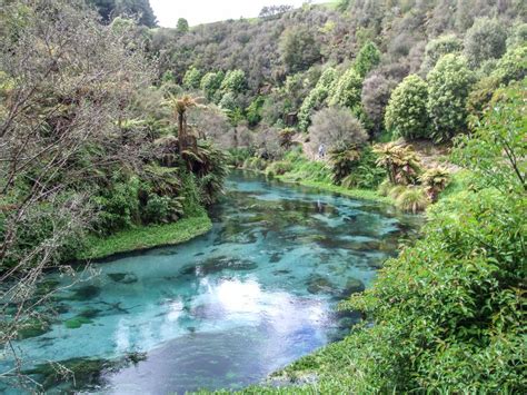 The best walking & hiking tracks in Putaruru | North Island