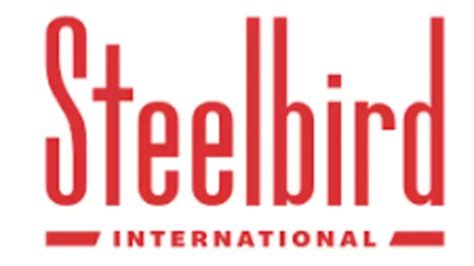 Steelbird Partners With Cybellum For Cybersecurity Solutions - Express Mobility News | The ...