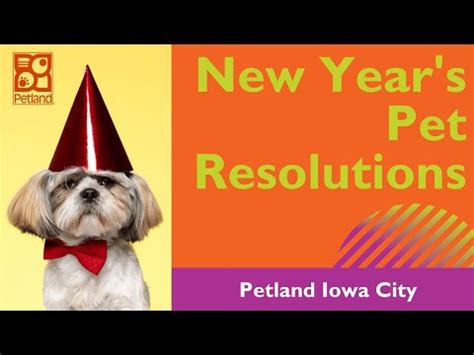 Videos - Page 3 of 12 - Petland Iowa City, Iowa