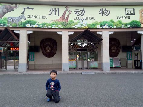 12 Enigmatic Facts About Guangzhou Zoo - Facts.net