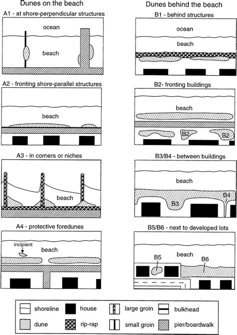 Classification of characteristic dune types on the developed New Jersey ...