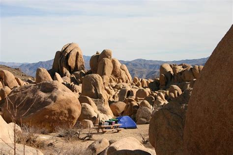 5 Best Joshua Tree Camping Spots for Your Next Trip - Able Camper