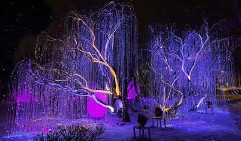 LED Trends - Trend Yard