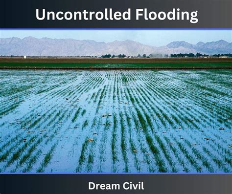 Flooding Irrigation : 2 Types of Flooding Irrigation ( Wild Flooding, Controlled Flooding, Basin ...