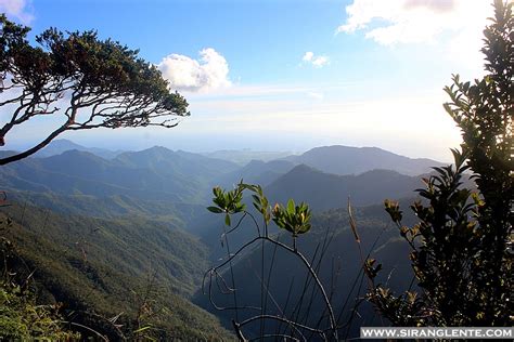 SIRANG LENTE: Mt. Hamiguitan, the beauty of a UNESCO World Heritage Site