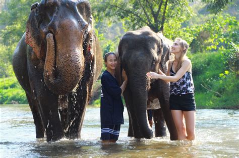 Elephant Sanctuary tours Chiang Mai