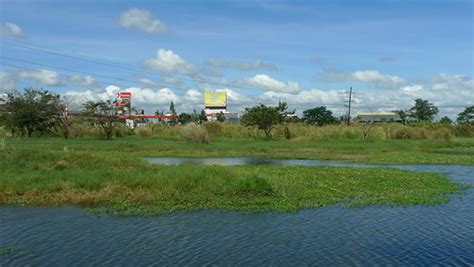 Candaba Wetland Center Design Competition – The Society for the ...