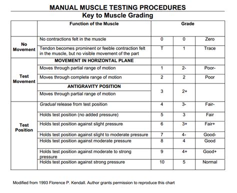 10 Point Grading Scale Breakdown