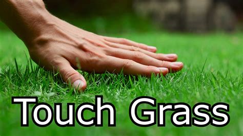 What Does 'Touch Grass' Mean? The Slang Term Explained | Know Your Meme