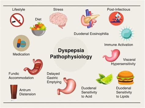 Dyspepsia: Causes, Symptoms and Natural Treatment - Philadelphia, PA Patch