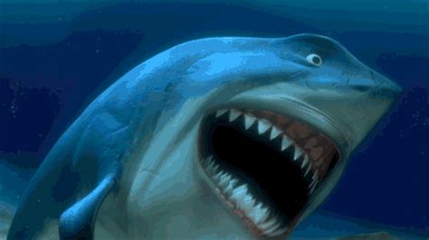 shark finding nemo gifs | WiffleGif