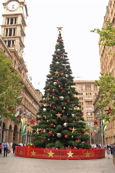 Xmas Trees Sydney : Sydney S Best Christmas Lights And Decorations In 2020 City Of Sydney What S ...