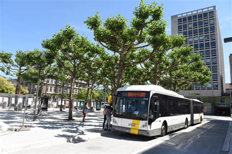 Bussen De Lijn naar havengebied krijgen eindhalte aan Luchtbal (Antwerpen) | De Standaard