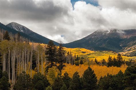 Flagstaff Fall Color Photograph by Tam Ryan - Fine Art America