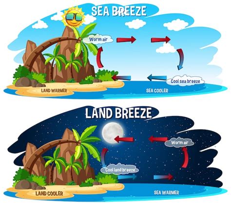 Free Vector | Science poster for sea and land breeze