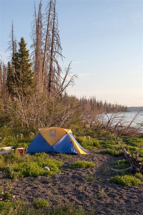 Tips for planning the perfect Yellowstone camping trip | Yellowstone ...