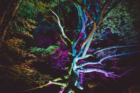 Gallery – The Art of Electric Forest | Electric Forest Festival