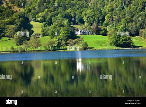 Lake Grasmere Springtime In May Traditional Lakeland Cottages Around The Lake Shore, 'The Lake ...