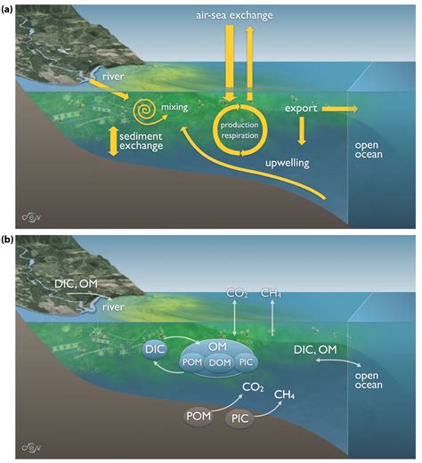 Coastal Ocean and Continental Shelves - Second State of the Carbon Cycle Report