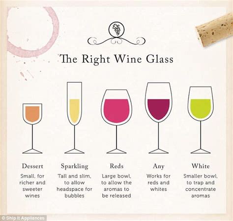 How to master wine etiquette | Wine etiquette, Wine, Wine drinks