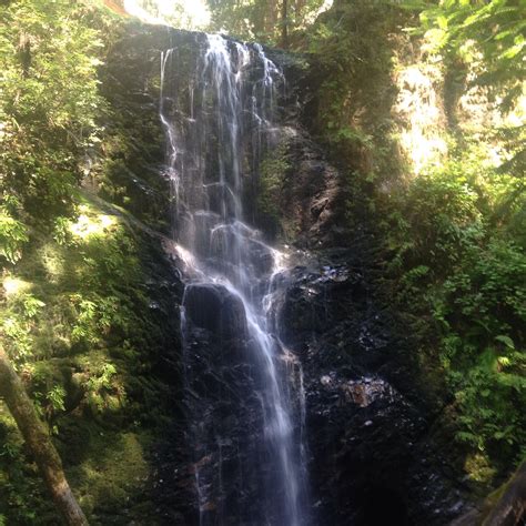 Waterfalls in Big Basin. Worth the hike! | Waterfall, Hiking trails, Big basin