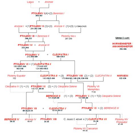 Ptolemaic Family Tree - The Ptolemaic dynasty /ˌtɒləˈmeɪ.ᵻk/, sometimes ...