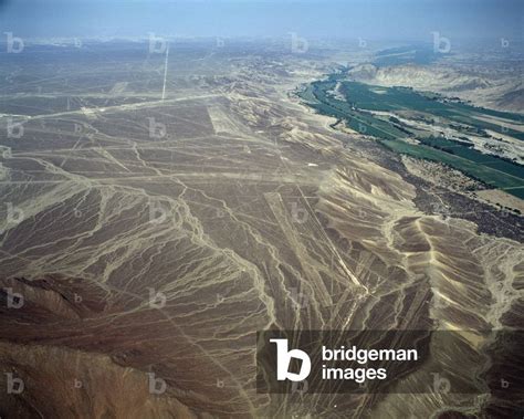 Aerial view of Nazca Lines representing a bird figure (photography, 1983)