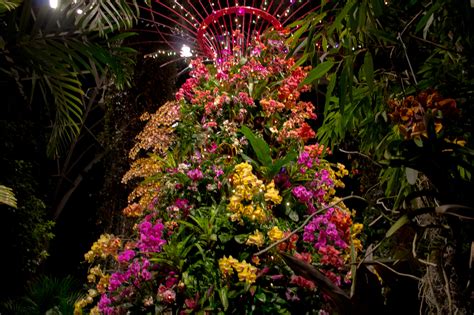 New York Botanical Garden: ORCHID EVENINGS | Dom N' The City