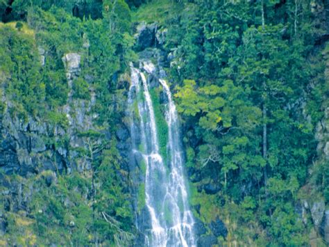 Barker Creek lookout track | Bunya Mountains National Park | Parks and forests | Department of ...