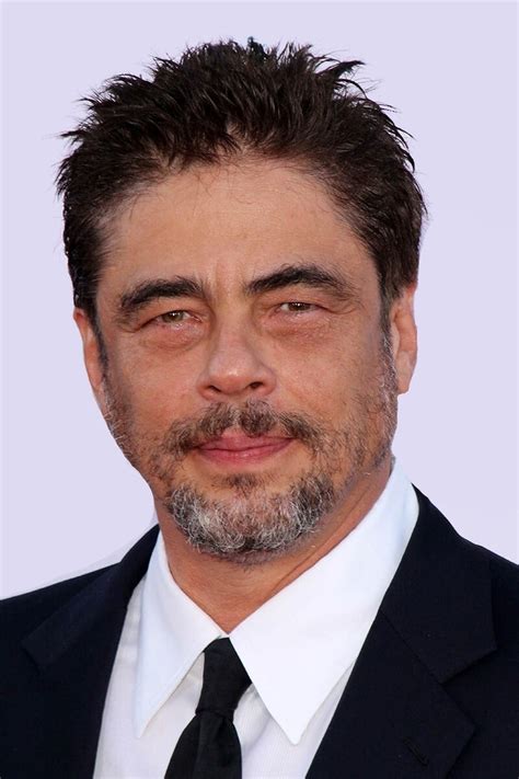 Benicio del Toro - Profile Images — The Movie Database (TMDB)