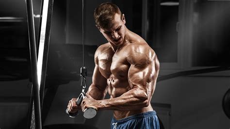 How to Do Tricep Pushdowns The Correct Way - The Trend Spotter