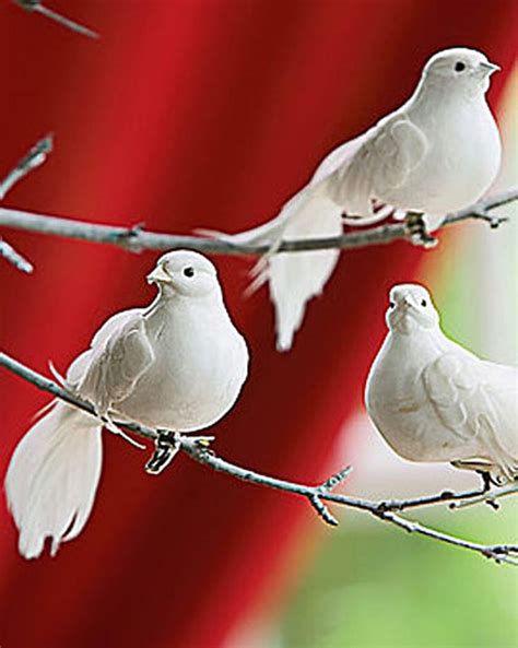 Clip-on Dove Ornaments, Set of 3 | Dove ornaments, White doves, Beautiful birds