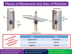 Planes of Movement and Axes of Rotation - AQA GCSE PE (9-1) | Teaching Resources