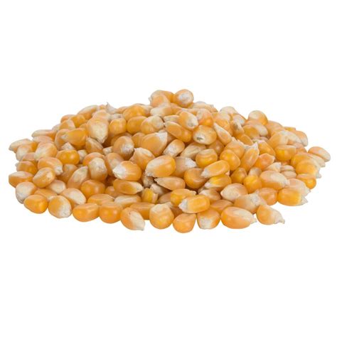 Reist Popcorn 50 lb. Bulk Bag of Hi Pop Mushroom Popcorn Kernels ...