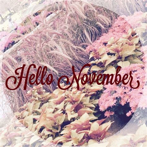 Hello November Sweet November, Hello November, Facebook Timeline Covers ...