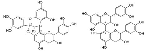 Chemical structure: (a) A-type proanthocyanidins; (b) B-type... | Download Scientific Diagram