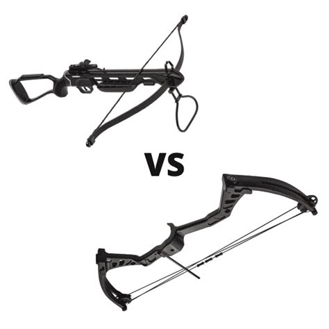 Crossbow vs Compound Bow Guide (Pros & Cons Comparison)