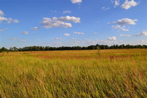 Ukraine Landscape Pictures | Download Free Images on Unsplash