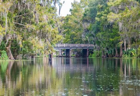 Cross Creek Bridge | Florida Paddle Notes