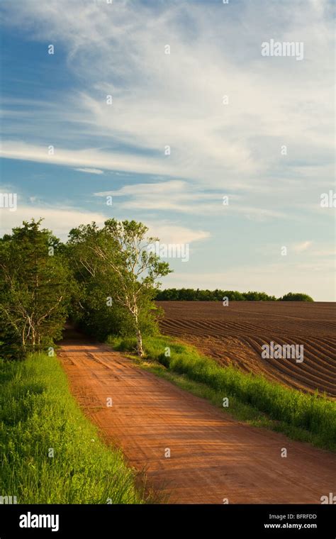 country road, Hampton, Prince Edward Island, Canada Stock Photo - Alamy