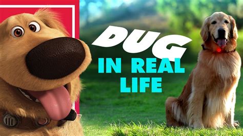 A Real-Life Version of Dug, The Talking Dog From Pixar's Up Visits a Park to Make New Friends