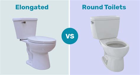 Elongated Vs. Round Toilets Difference - myplumberschoice