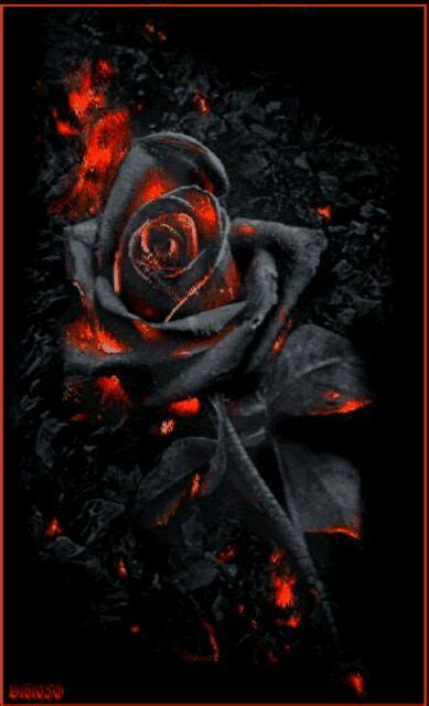 #dark #gothic #rose | Gothic wallpaper, Black roses wallpaper ...