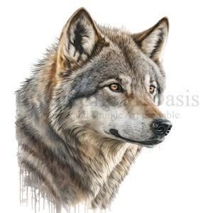 Grey Wolf Clipart, 10 High Quality Pngs, Nursery Art, Instant Digital ...