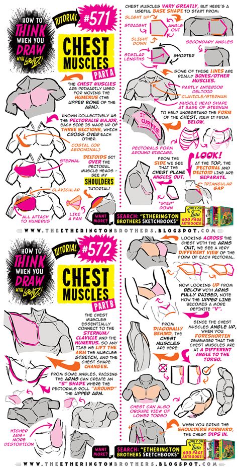 BRAND NEW TUTORIAL! How to draw CHEST MUSCLES! by EtheringtonBrothers on DeviantArt Figure ...