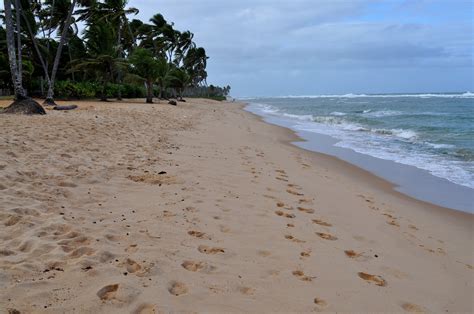 Free picture: yellow, sand, beach