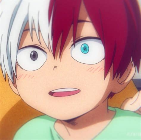 Todoroki Shouto Kid