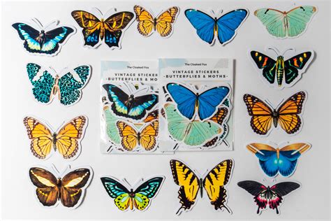 14pc Vintage Butterfly Stickers Pack Botanical Sticker | Etsy