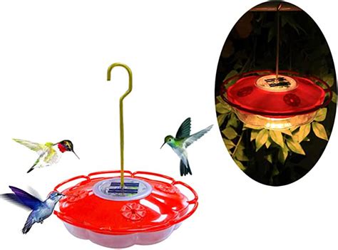 Amazon.com: solar light hummingbird feeder